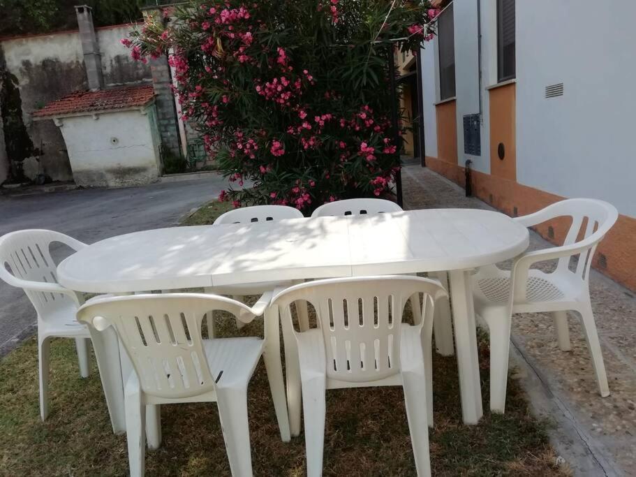La Casa Di Heidi Διαμέρισμα Serra deʼ Conti Εξωτερικό φωτογραφία